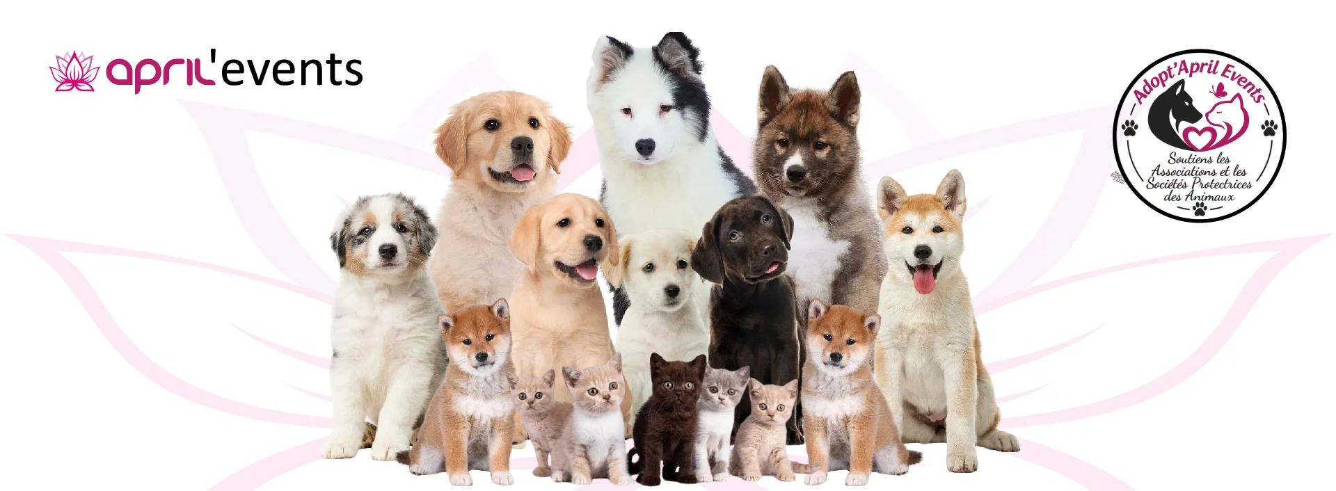 Hero salon du chiot et chat