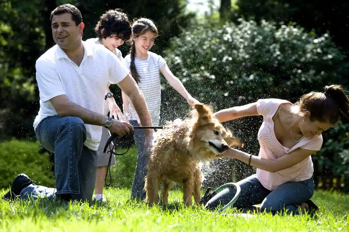 Chiens pour familles avec enfants